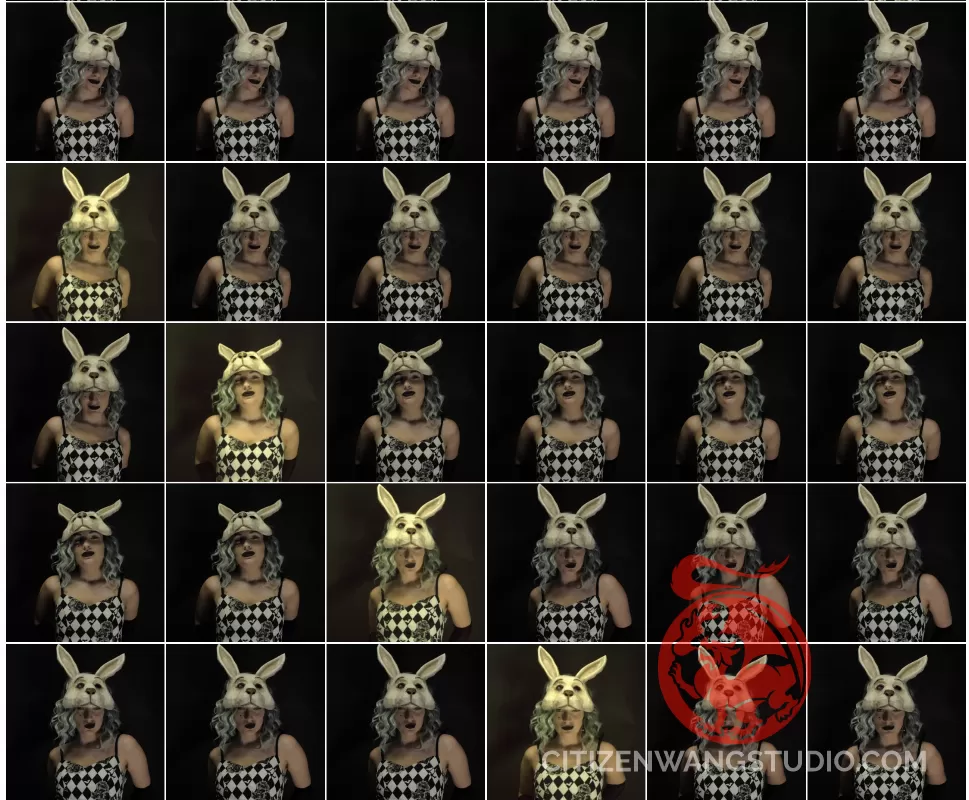 Bunny Boileur.png